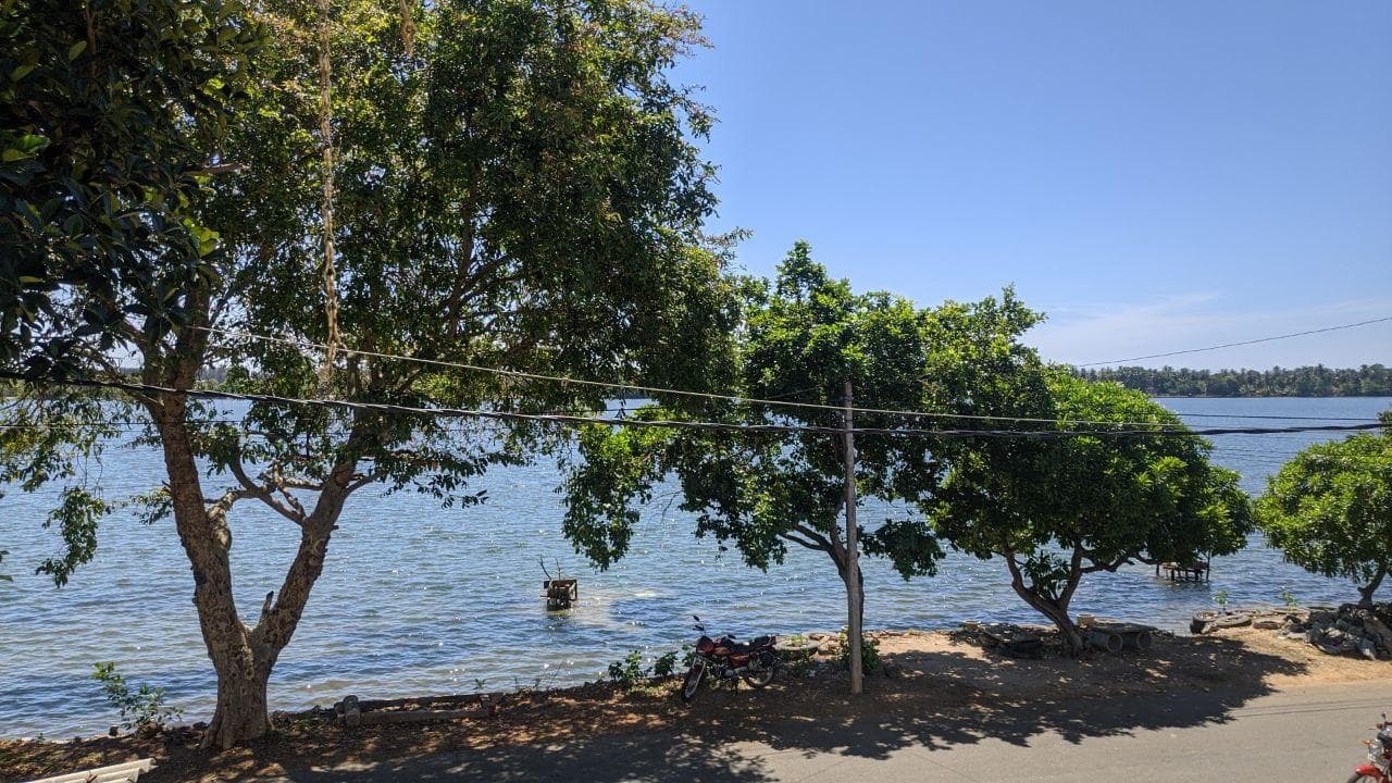 Arts, Ritual, Politics.